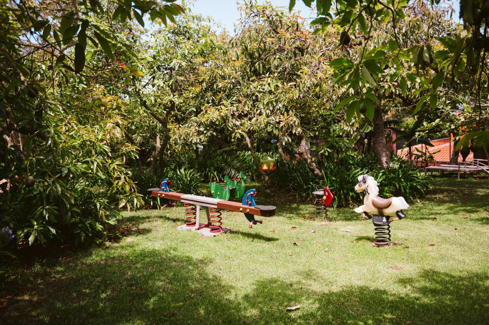 Homeforguest Cosy Rural Flat La Lavanda Surrounded By Nature Tacoronte Exterior foto